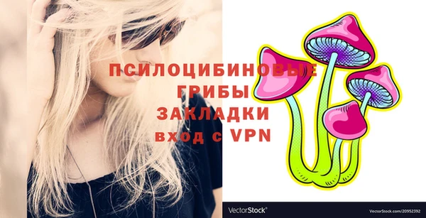 твердый Абинск