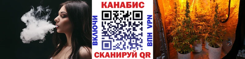 как найти   Азнакаево  Конопля ГИДРОПОН 